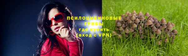амф Киреевск